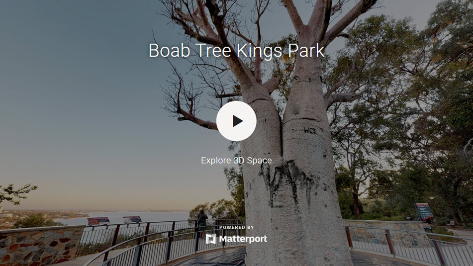 Boab Tree Kings Park Virtual Tour